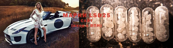 шишки Вязьма